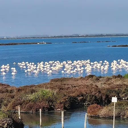 Oasi Del Delta 3*