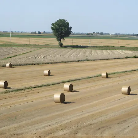 Oasi Del Delta Gasthof Taglio di Po