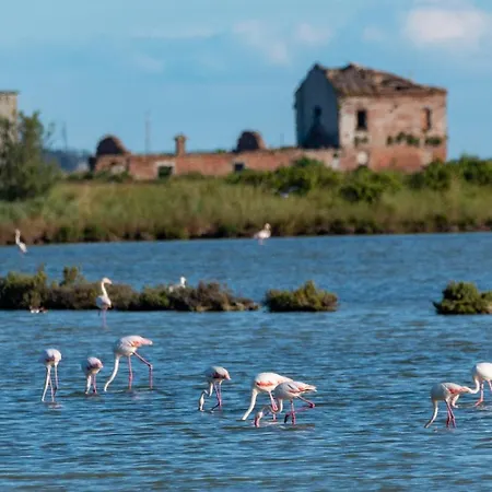 Oasi Del Delta Gasthof