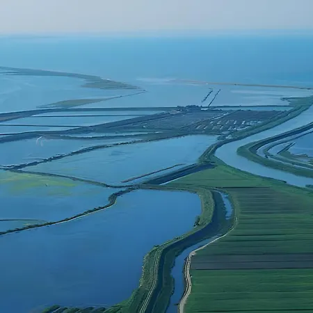 Oasi Del Delta Taglio Di Po